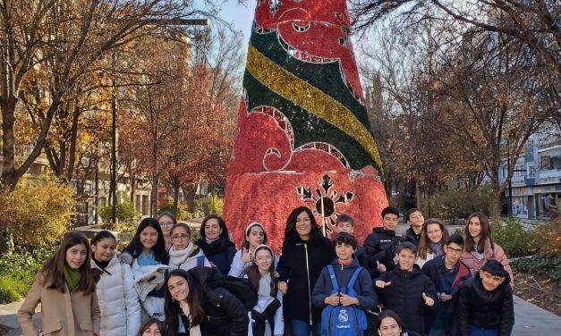 Paseo navideño