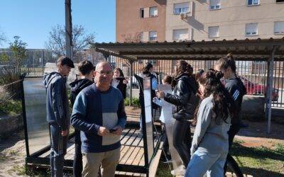 Invernadero construido por alumnado de 4º ESO