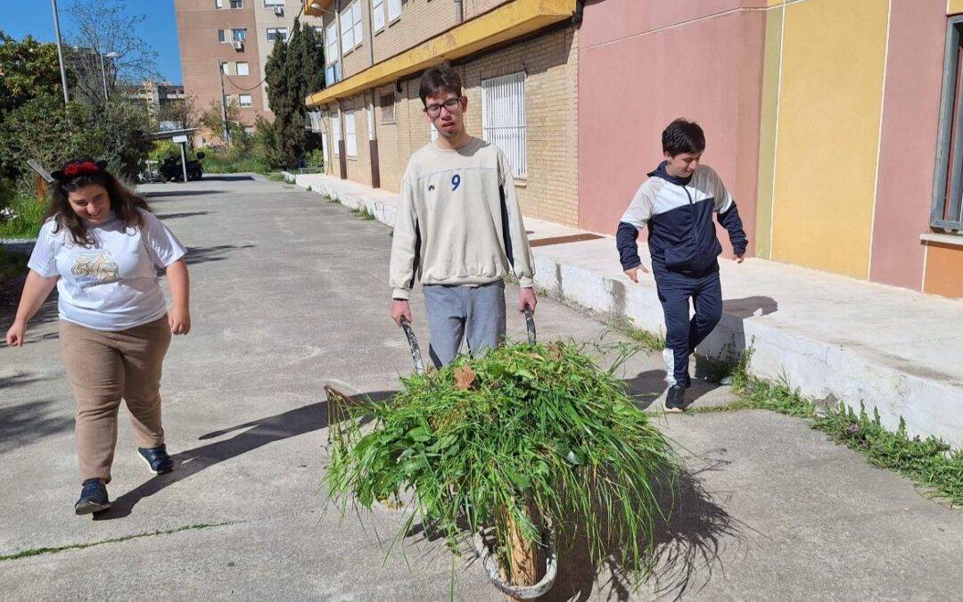 TRABAJOS DE JARDINERÍA DEL AULA TEA