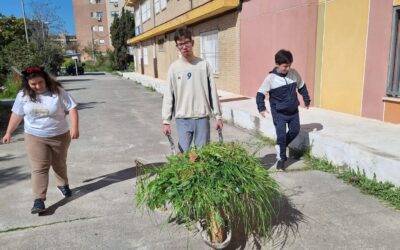 TRABAJOS DE JARDINERÍA DEL AULA TEA