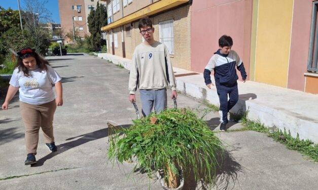 TRABAJOS DE JARDINERÍA DEL AULA TEA