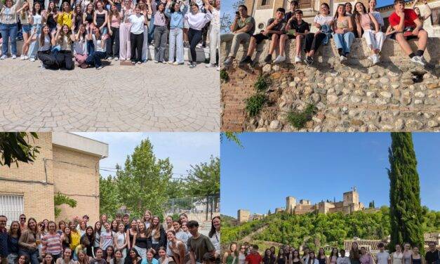 Erasmus+ con Gymnasium Albert Einstein de la ciudad de Ulm