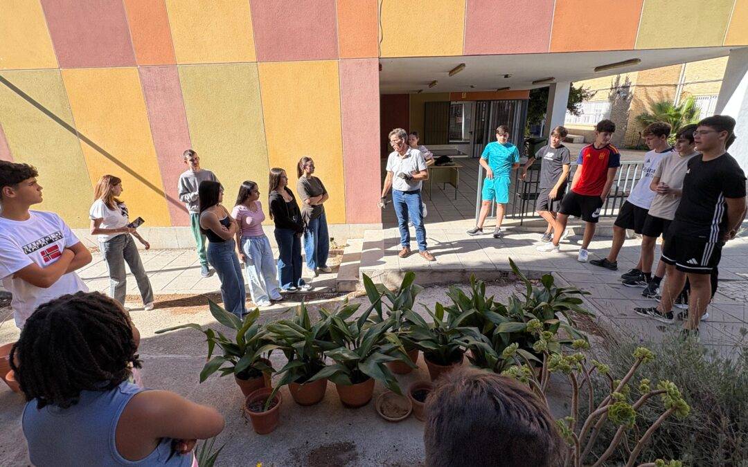Cuidado de pilistras en el IES La Madraza