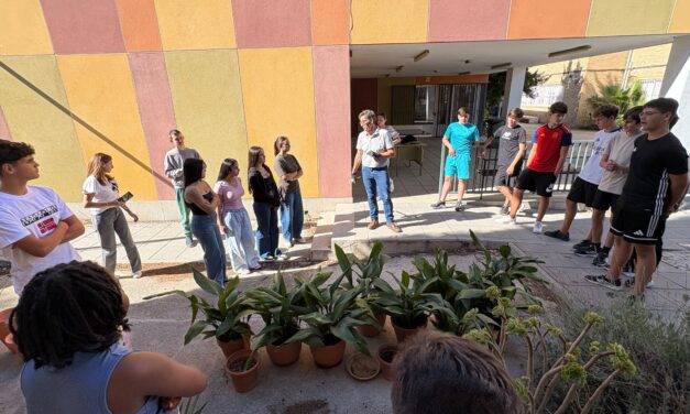 Cuidado de pilistras en el IES La Madraza